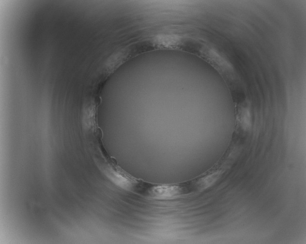 X0000073830526200608101207