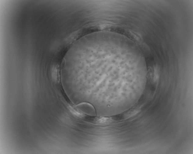 X0000073830527200608101206