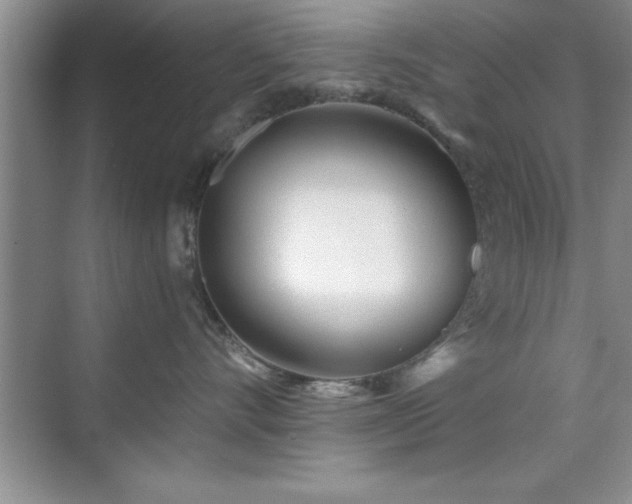 X0000073830528200608101206