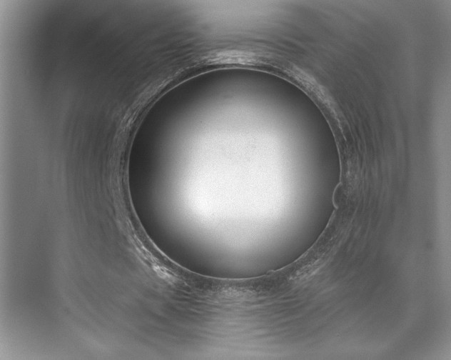 X0000073830529200608101206