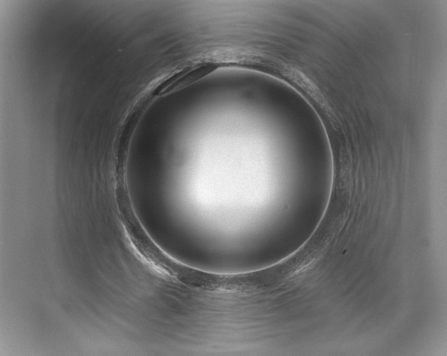 X0000073830530200608101206