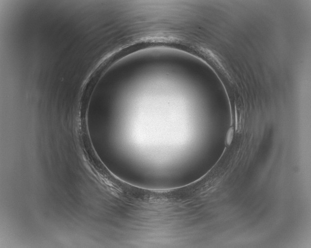 X0000073830531200608101206