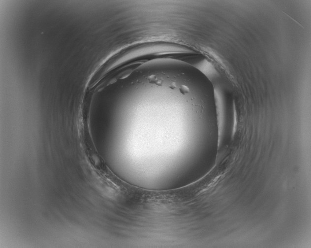 X0000073830532200608101206