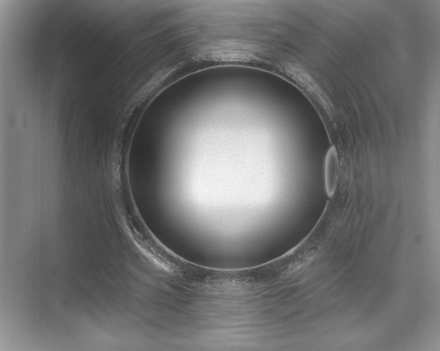 X0000073830533200608101206