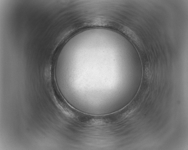 X0000073830534200608101206