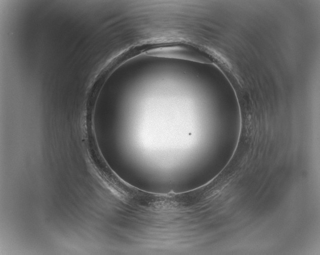 X0000073830535200608101206