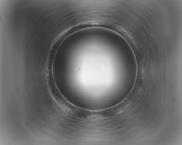 X0000073830536200608101206