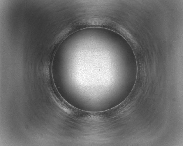 X0000073830537200608101206