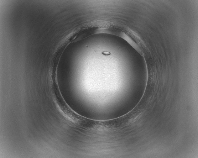 X0000073830538200608101206