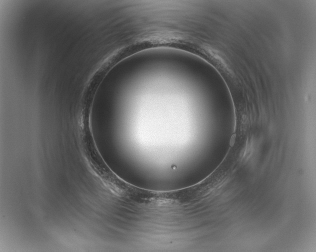 X0000073830539200608101206