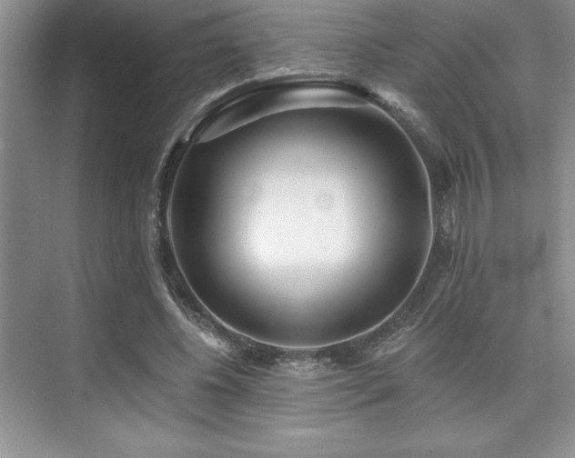 X0000073830540200608101206