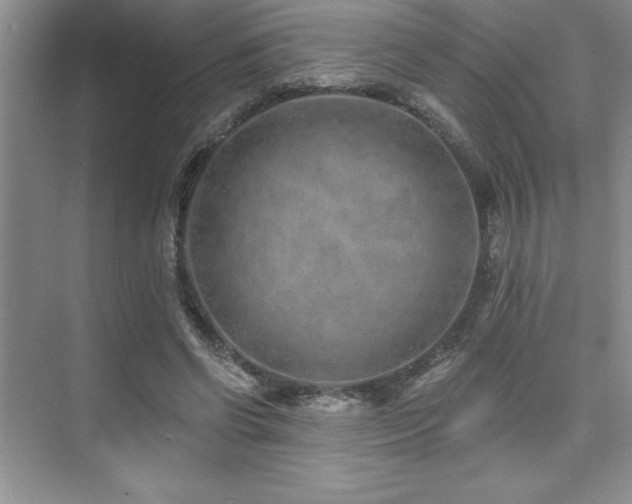 X0000073830542200608101206