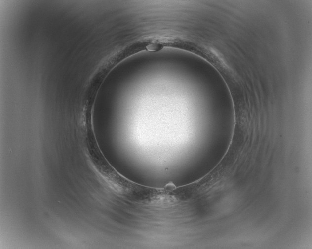 X0000073830543200608101206