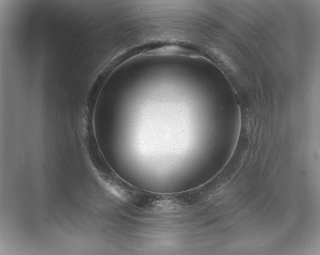 X0000073830544200608101206