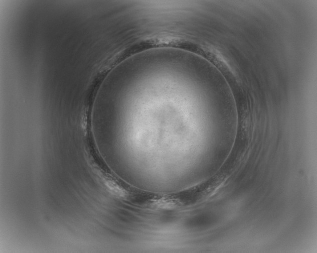 X0000073830545200608101206