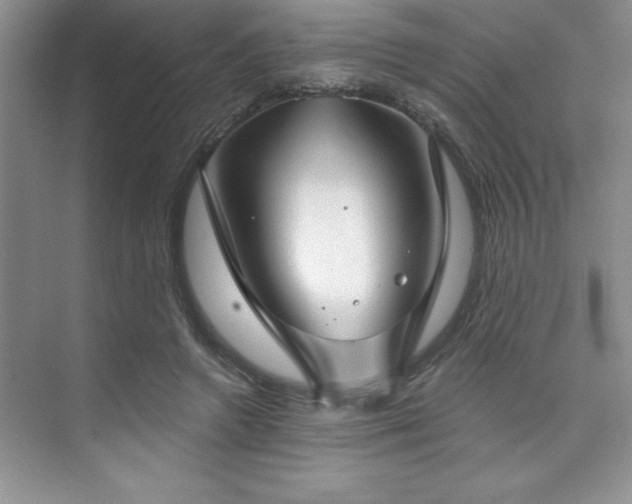 X0000073830546200608101206