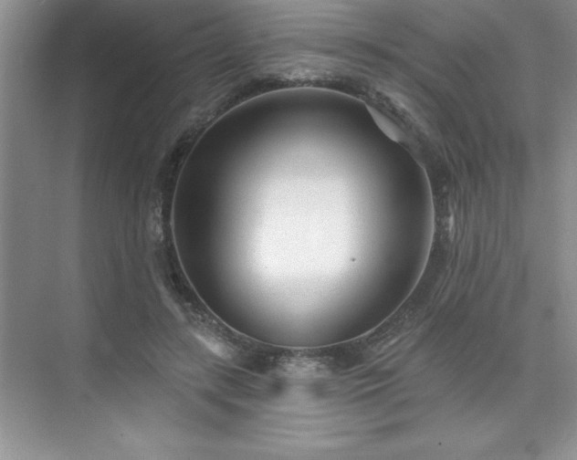 X0000073830547200608101206