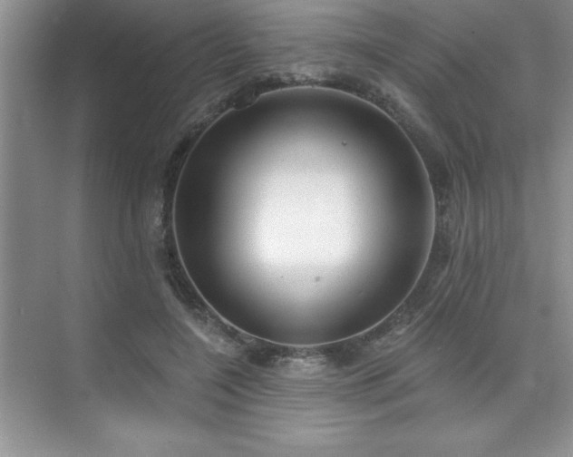 X0000073830548200608101206