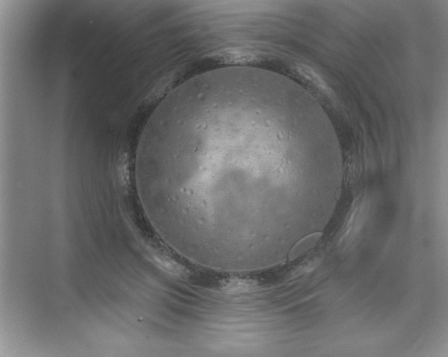 X0000073830549200608101206