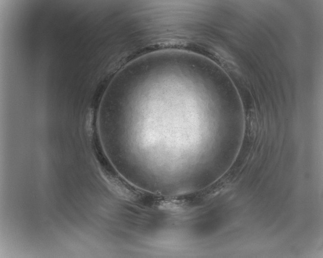 X0000073830550200608101206