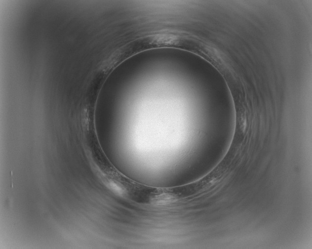 X0000073830551200608101206