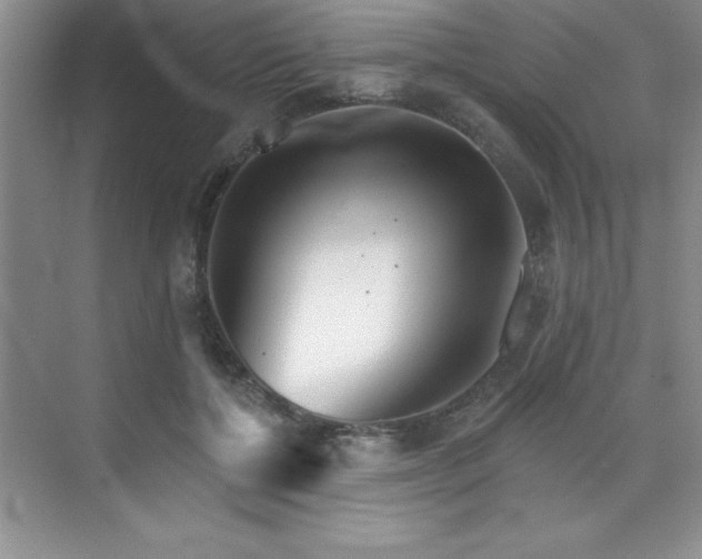 X0000073830552200608101206