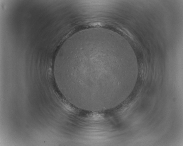 X0000073830553200608101206