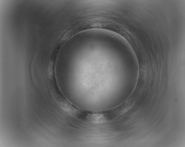 X0000073830554200608101206