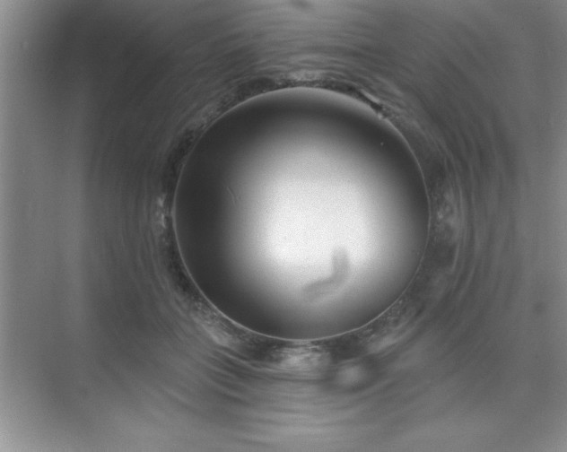 X0000073830555200608101206