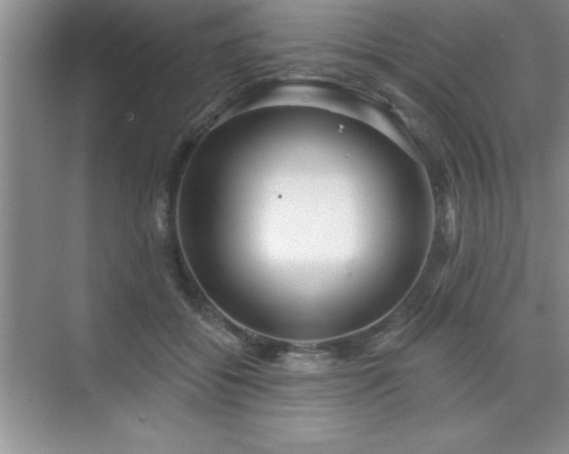 X0000073830556200608101206