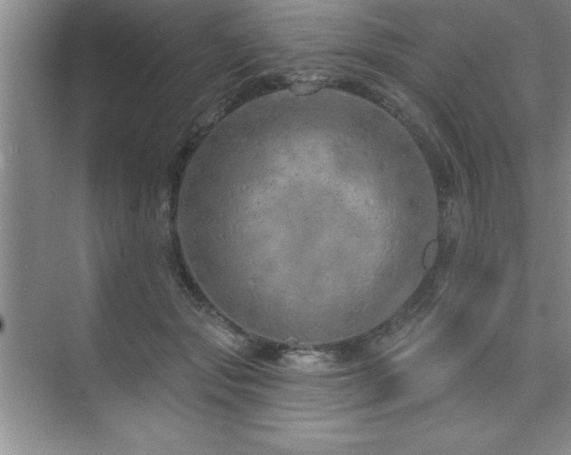 X0000073830557200608101206