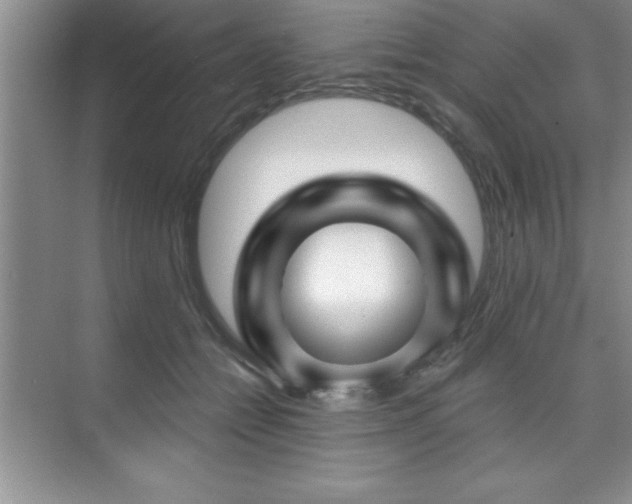 X0000073830558200608101206