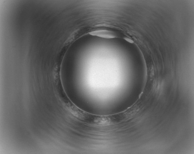 X0000073830559200608101206