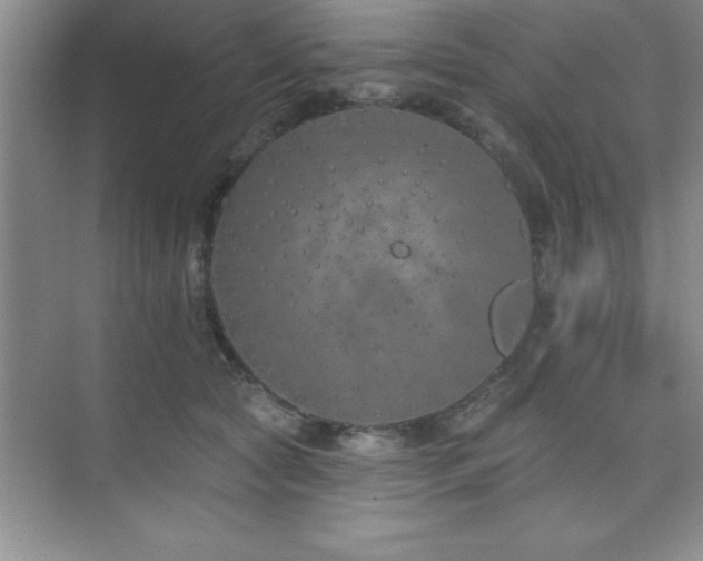 X0000073830561200608101206