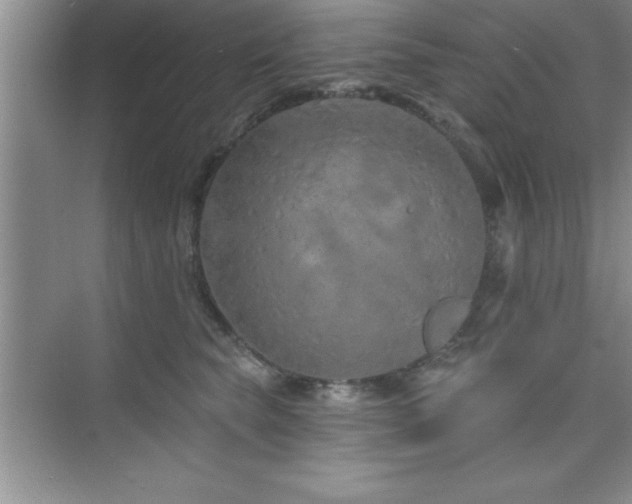 X0000073830565200608101206