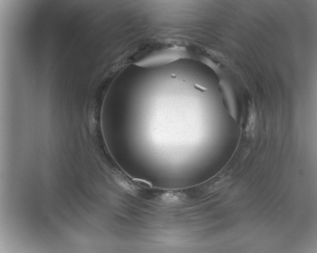 X0000073830566200608101206