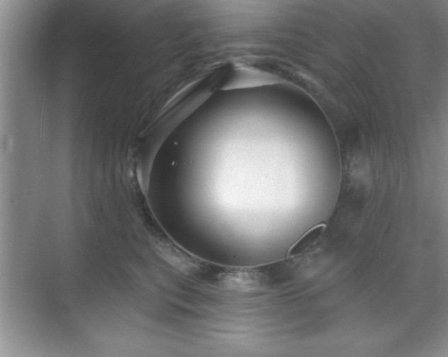 X0000073830567200608101206