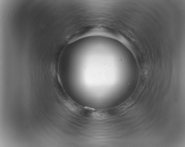 X0000073830568200608101206