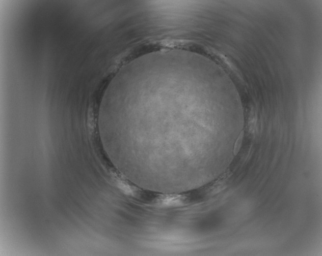 X0000073830569200608101206