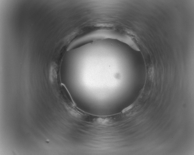 X0000073830570200608101206