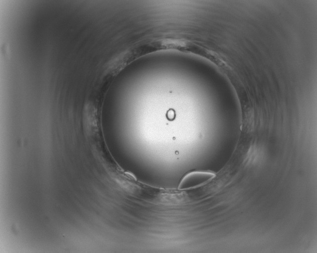 X0000073830571200608101206