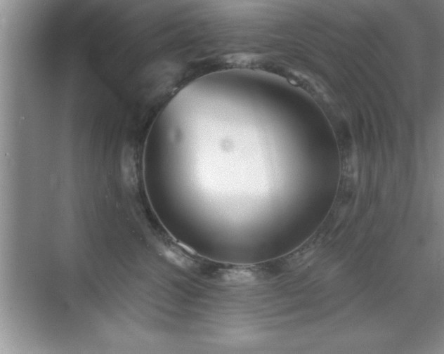 X0000073830572200608101206