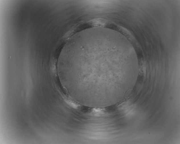 X0000073830573200608101206