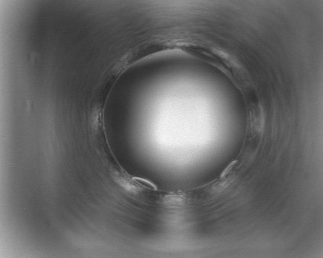 X0000073830574200608101206