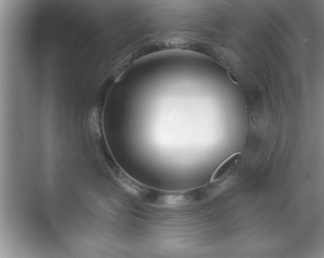 X0000073830575200608101206