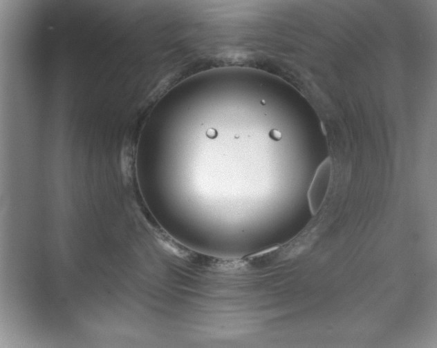 X0000073830576200608101206