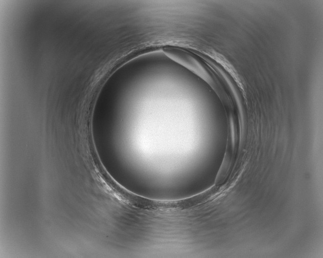 X0000073830577200608101206