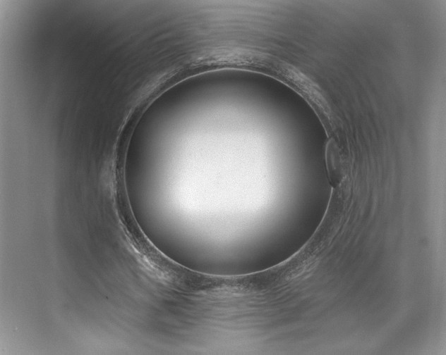 X0000073830578200608101206