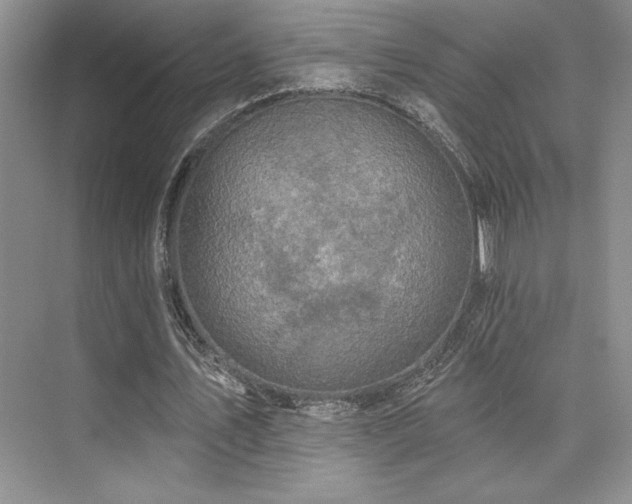 X0000073830579200608101206