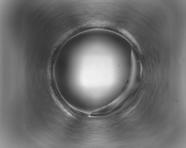 X0000073830581200608101206